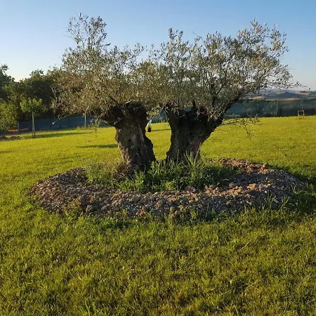 Campeggio Fattoria Country Village