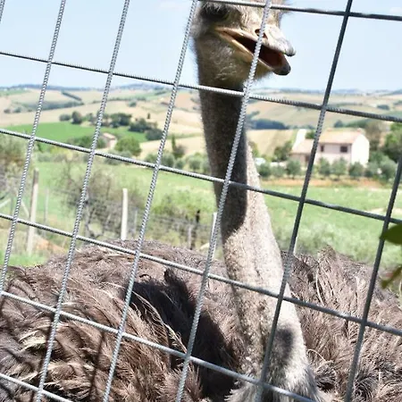 Campeggio Fattoria Country Village